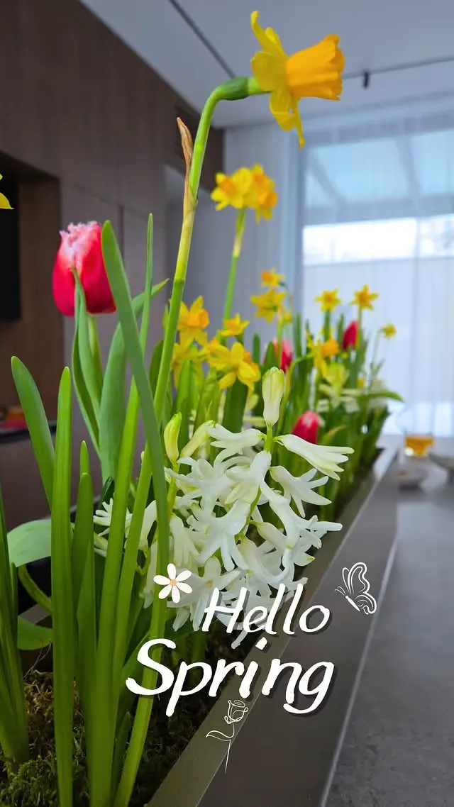 Gėlių Bangos kraštovaizdžio dizaino darbų — nuotrauka 1