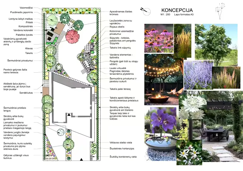 Konsultacija su koncepciniu planu
