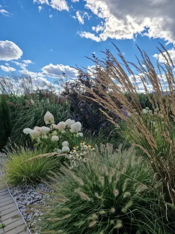 Dekoratyvinių augalų grupė prie tako