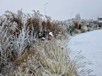 Rudeninis kraštovaizdžio dizaino projektas