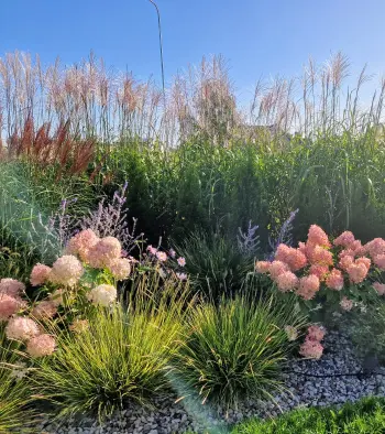 Gėlynų įrengimas ir kompozicijų kūrimas