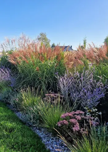 Augalų kompozicija privačiame sklype