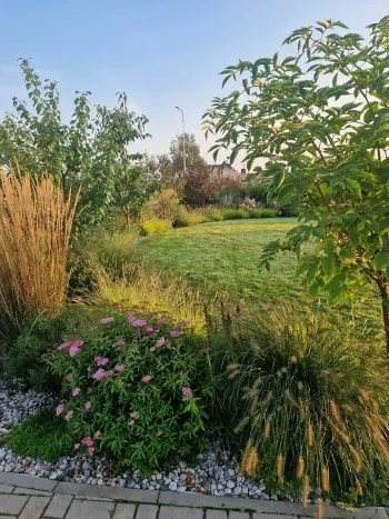 Sodo dizainas su dekoratyvinėmis žolėmis