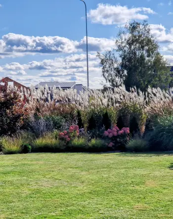 Profesionalus apželdinimas Vilniaus rajone