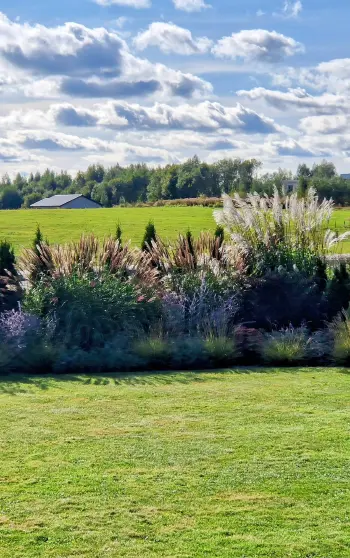 Profesionalus kraštovaizdžio dizaino projektas