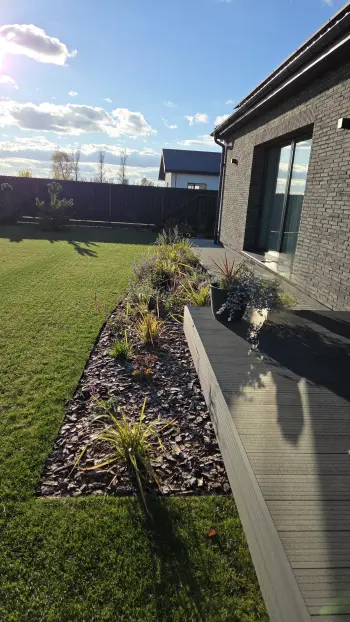 Ruduo sode — auksiniai atspalviai ir dekoratyvūs augalai